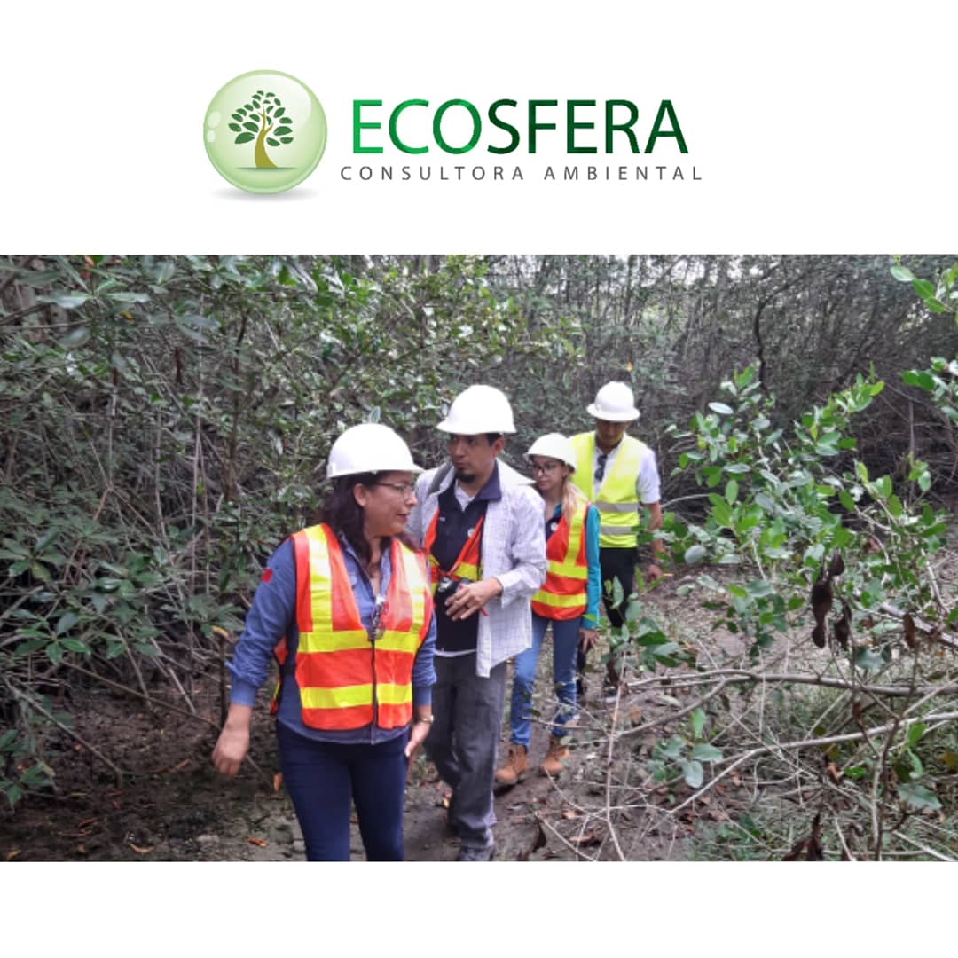 EcosferaEC's tweet photo. Inspección Ambiental del Equipo Técnico de Ecosfera Consultora -  Desarrollo Componente Biotico. Auditoría Ambiental PuertoCobre S.A. https://t.co/cocF135Lrd