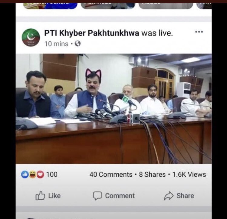 ammarawrites's tweet photo. PTI’s social media team forgets to remove the cat filter from a live press conference. 😂 https://t.co/VPYCPMdW7r