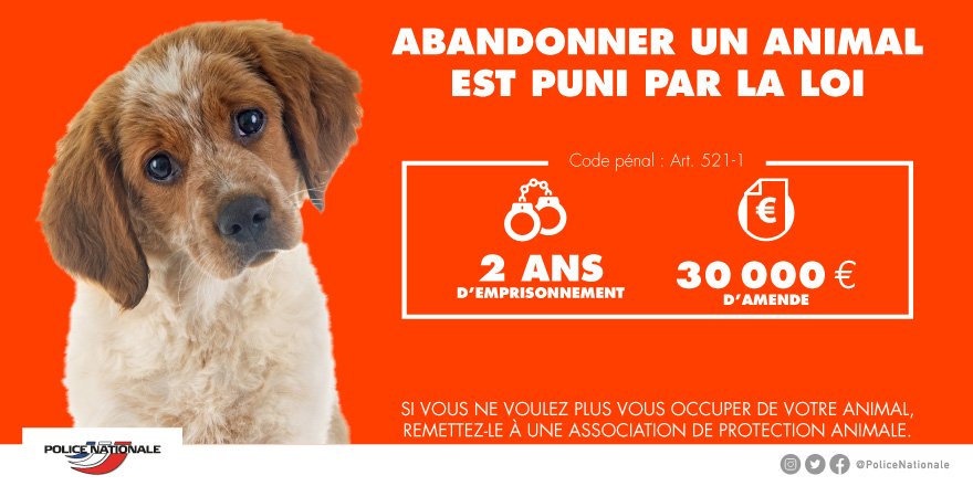 PoliceNationale's tweet photo. [#TousMobilisés] Si vous ne souhaitez plus vous occuper de votre chien, confiez-le à une association de protection animale. La maltraitance animale est condamnée par la loi. https://t.co/xsXcUoALXC
