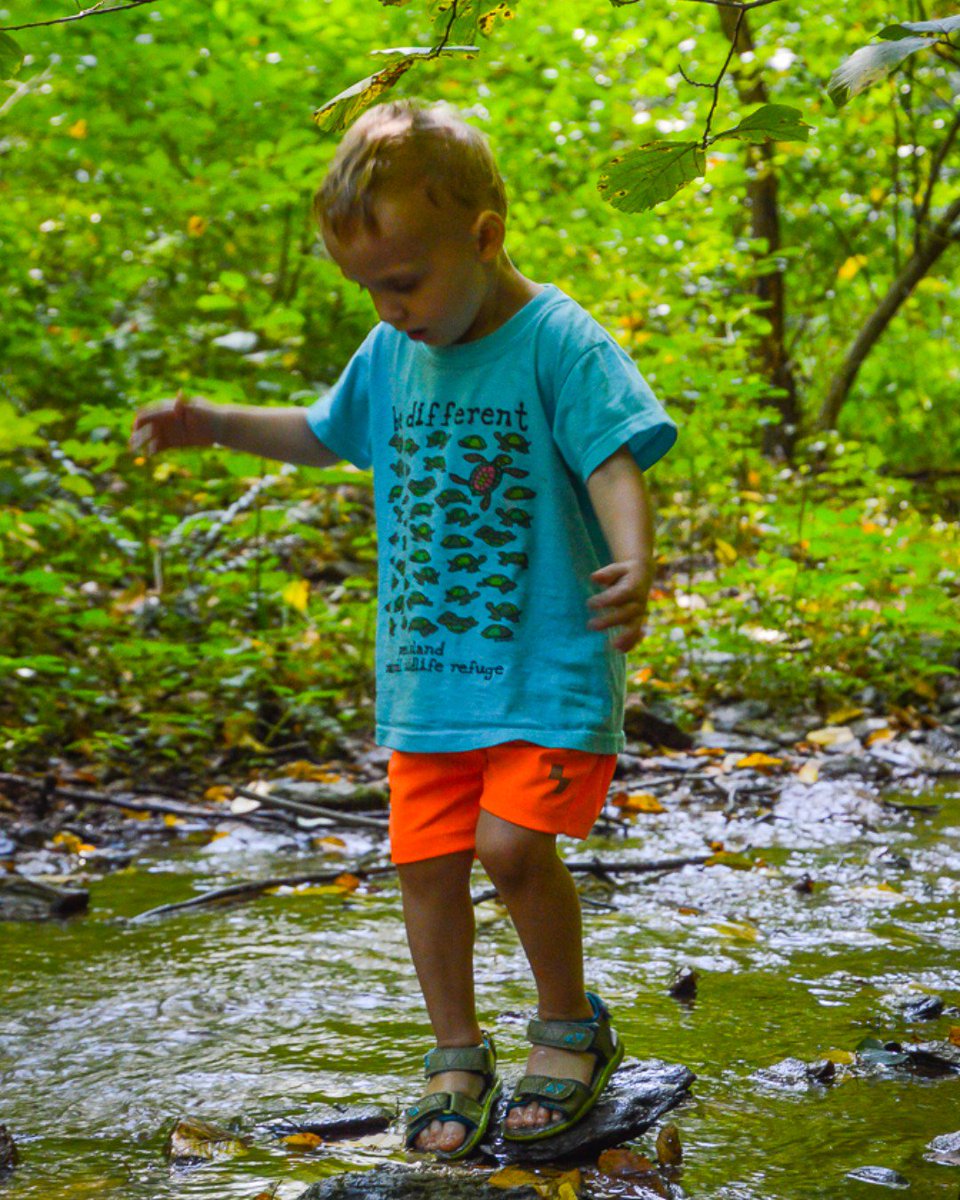 Head to @lslcnews and grab your family a Summer Fitness Quest booklet that is full of fun, healthy, and educational outdoor activities!  #HikeLancaster lancasterlibraries.org/summer-fitness…