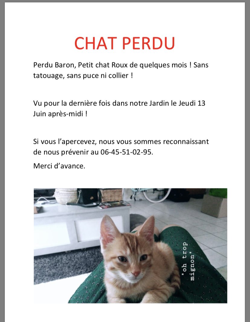 Tanukie Chat Perdu A Saint Benoit 86 Secteur Ermitage Si Jamais Quelqu Un Le Voit Petalert Chat Ermitage Saintbenoit T Co Barxwrasx7 Twitter