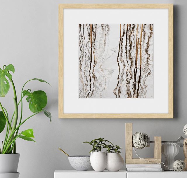 A delicate abstract piece from Lisa Mardell
.
.
.
.
.
#theartofgoodliving #interiordesignlovers #affordableart #millennium_images #startwiththeart #nature_shooters #interiormilk #artfinder #thevisualcollective #thephotohour #artforthehome #wallsneedart #… bit.ly/2XeiuCD