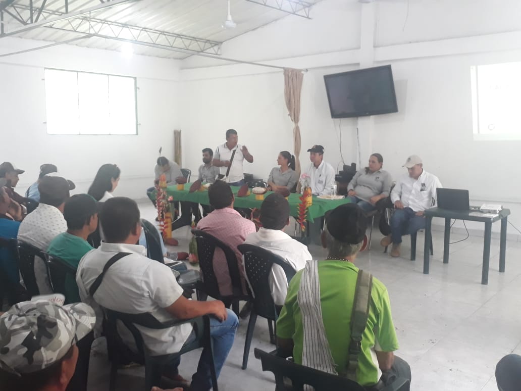 ComiteCacao's tweet photo. Acompañando @fedecacao Fundación Muzo en la firma de Memorando de Acuerdo para la siembra de 30 mil plantas de cacao,  rehabilitación, renovación, fortalecimiento empresarial, capacitación y producción de material vegetal en el sector la Mina, Municipio de Muzo (Boy)@sacalaor86 https://t.co/FuRsTQmhqW