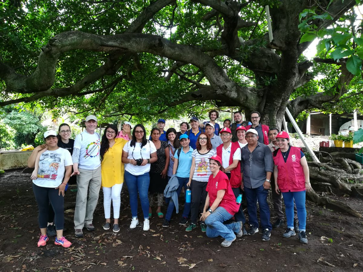 ¡Así se vive la #Plantatón en Comasagua! Nos sumamos a la iniciativa de restauración y reforestación de ecosistemas más grande de #ElSalvador, junto a la cooperación internacional y voluntarios/as