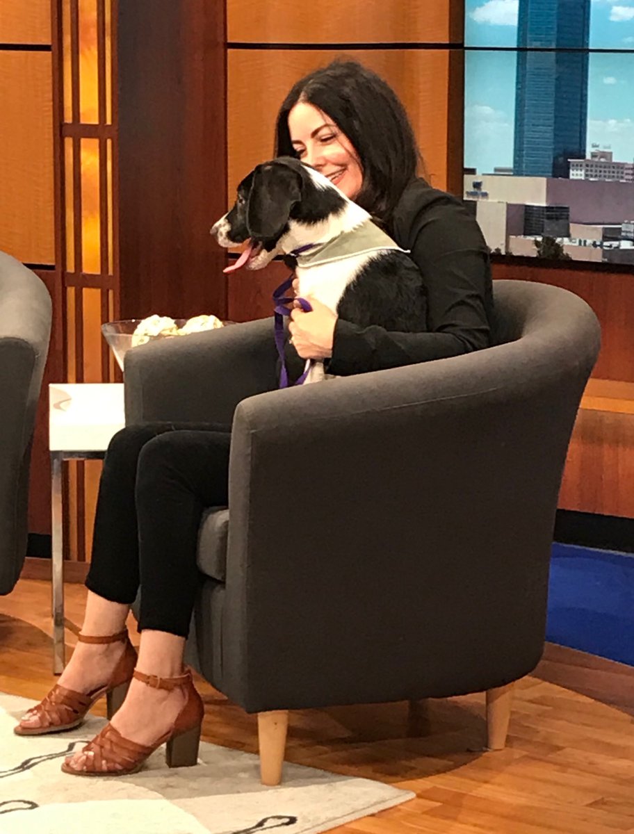 AlexDCameron's tweet photo. ⁦@brooke4animals⁩ is here with ‘Chief’, our ⁦@okhumane⁩ Pet of the Week! This guy needs a forever home...maybe yours? #adopt ⁦@NEWS9⁩ https://t.co/oAYNUwQvXk