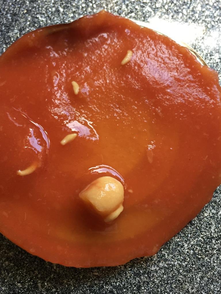 Kel12Rutledge18's tweet photo. Have you added a new addition @HeinzUK ?? Don’t feel like these belong in my tin of baked beans 🤢🤢 #SomethingsNotRight #HeinzUK #TriedCalling #NoLuck #TwitterItIs https://t.co/xNPtqetZxW