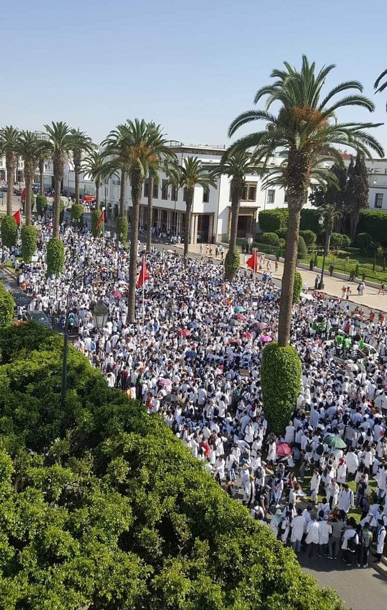 IFafouri's tweet photo. We will fight till the end 
we will make history 
We will make our parents proud 
Just watch it  #DoctorsUnderOppression https://t.co/ZWKgYDQts2