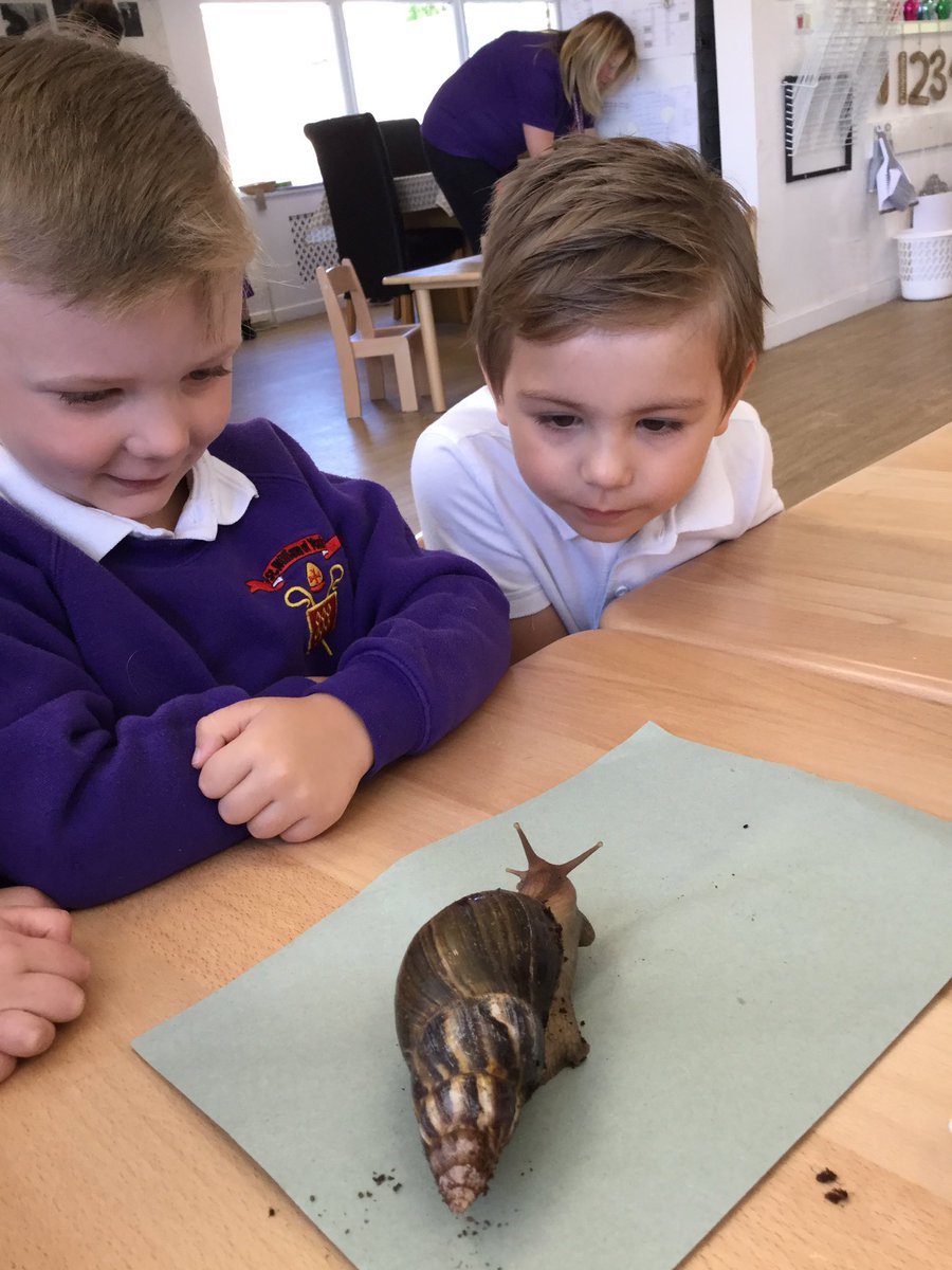 SWOYThornton's tweet photo. Giant African Snails visit Nursery!
#swoy https://t.co/xyPgqiUgT3