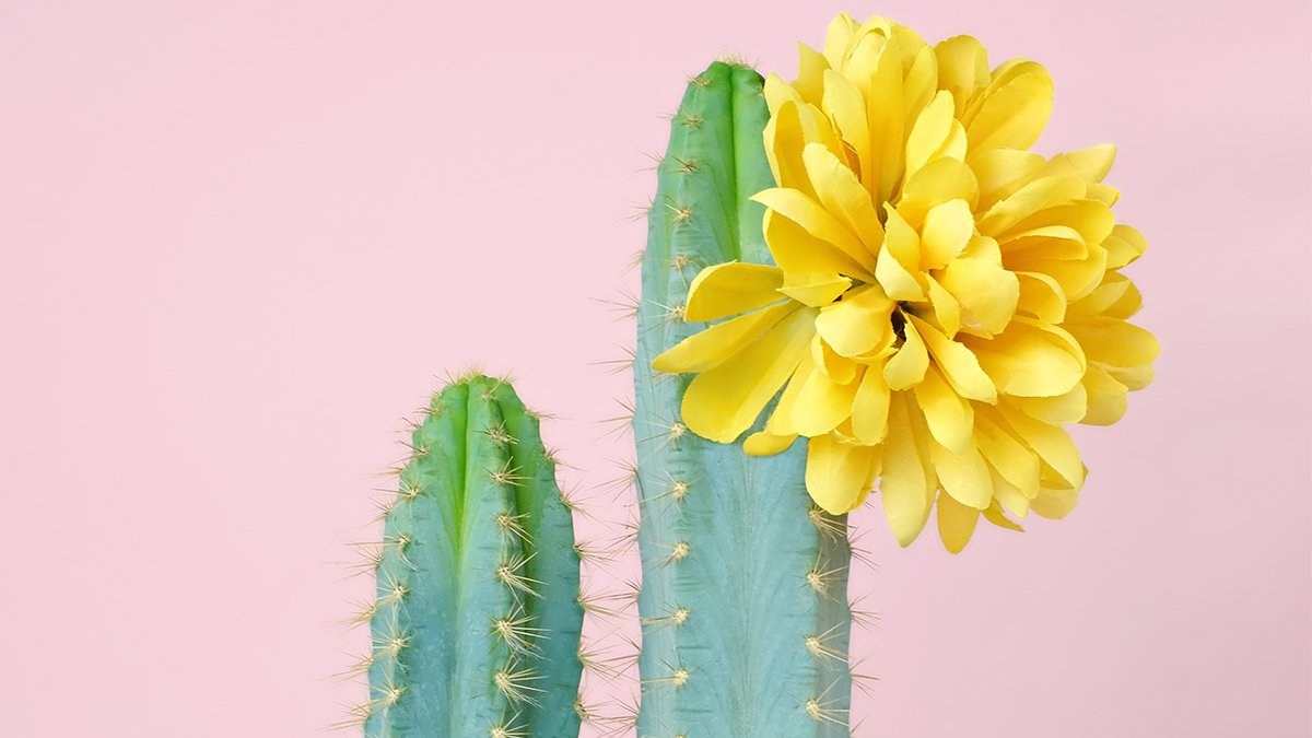 1DigitalToolbox's tweet photo. When Employees Feel Grateful, Theyre Less Likely to Be Dishonest https://t.co/VwjpSahi2L https://t.co/O9Aolzjh6T