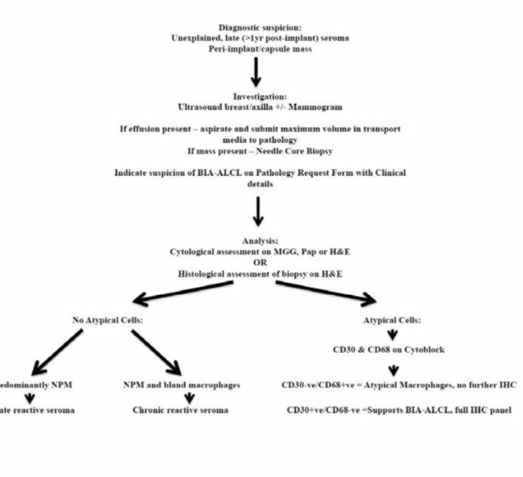 Gliogenesis: Historical