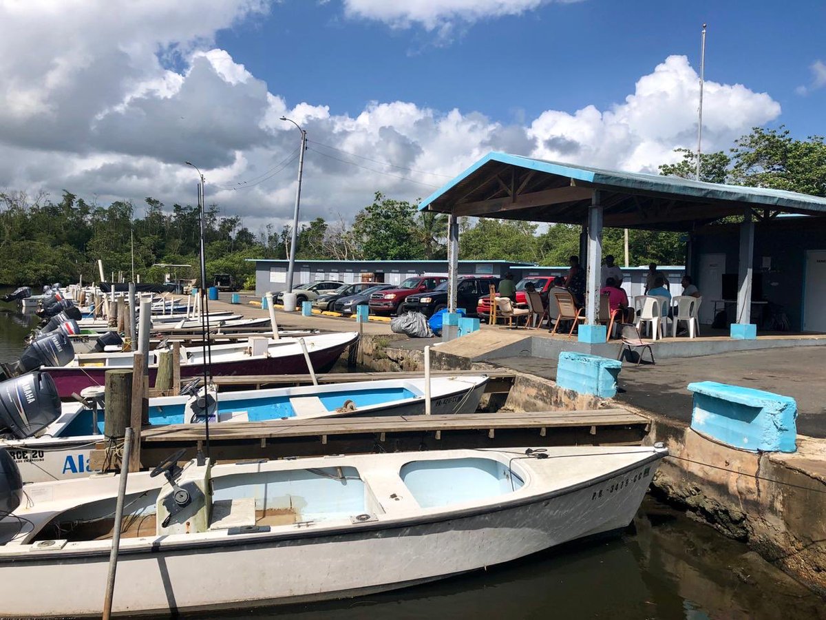 shell_catch tweet media