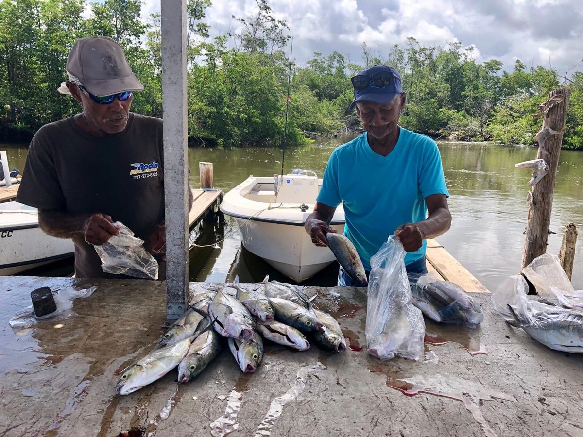 shell_catch tweet media