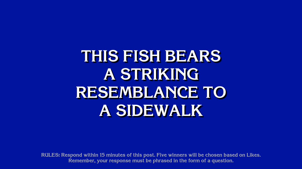 Endless Jeopardy tweet media