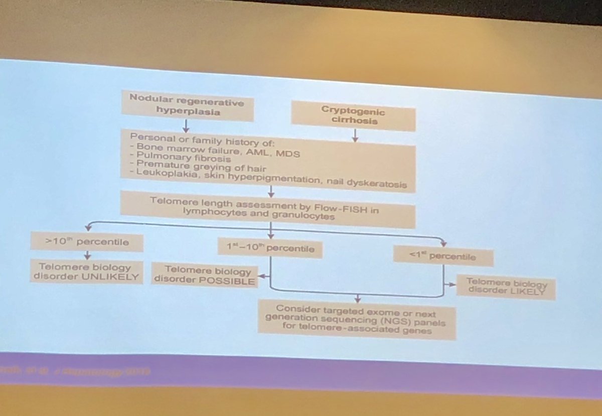 Manuel Braga Neto MD, PhD (@manuelbragamd) on Twitter photo Great talk on Short Telomere Syndrome by <a href="/DougSimonetto/">Doug Simonetto, MD</a>! In patients with cryptogenic cirrhosis or nodular regenerative hyperplasia with personal or family history of certain conditions, consider short telomere sd in differential. #MayoGIHep Great talk on Short Telomere Syndrome by <a href="/DougSimonetto/">Doug Simonetto, MD</a>! In patients with cryptogenic cirrhosis or nodular regenerative hyperplasia with personal or family history of certain conditions, consider short telomere sd in differential. #MayoGIHep