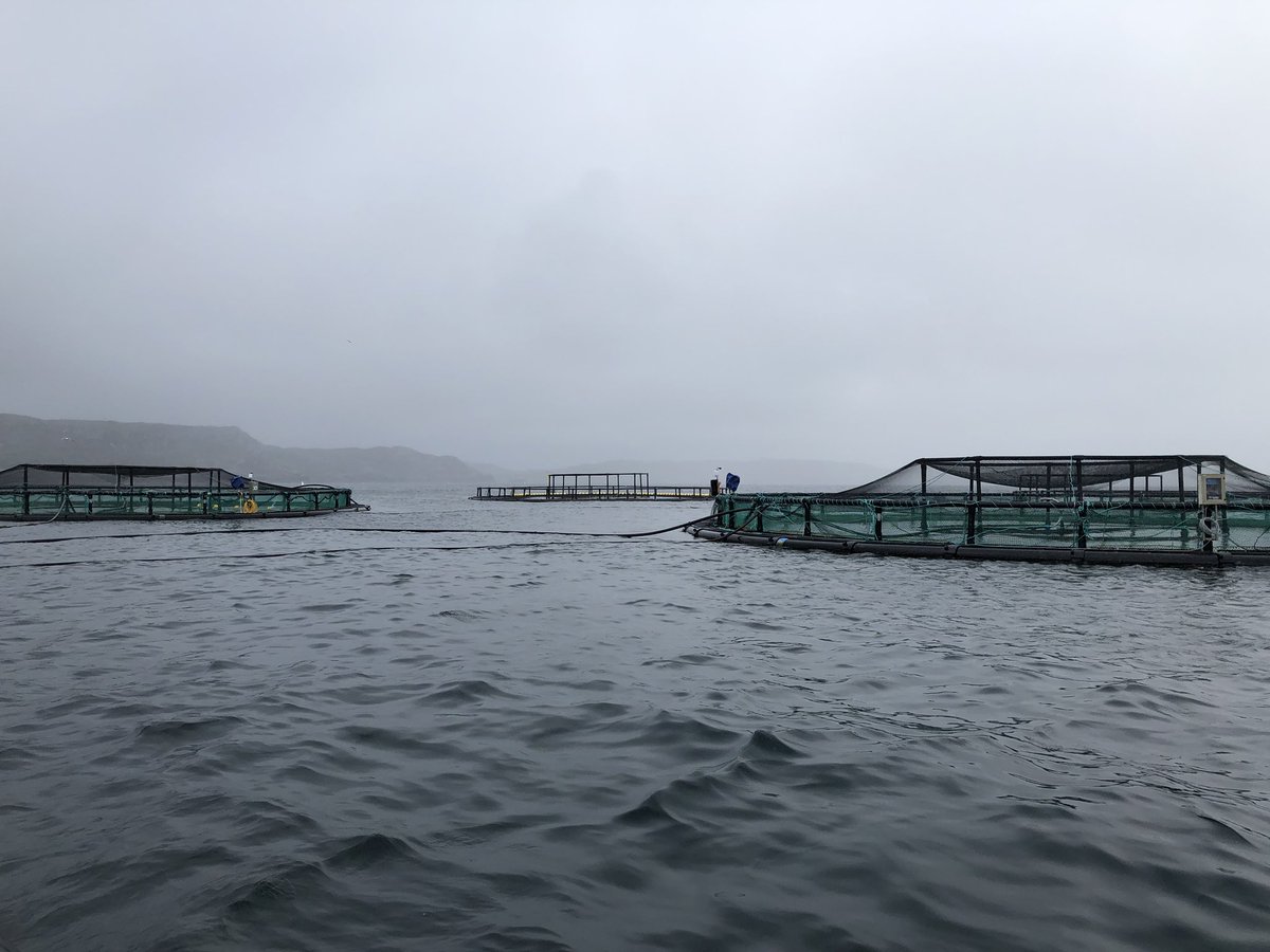 Thanks <a href="/LochDuartSalmon/">Loch Duart Salmon</a> for spending the last few days with me and <a href="/Henly_Lauren/">Dr Lauren Stewart</a> showing us how #salmon farming works and all the new innovations including #cleanerfish being used to improve the industry.