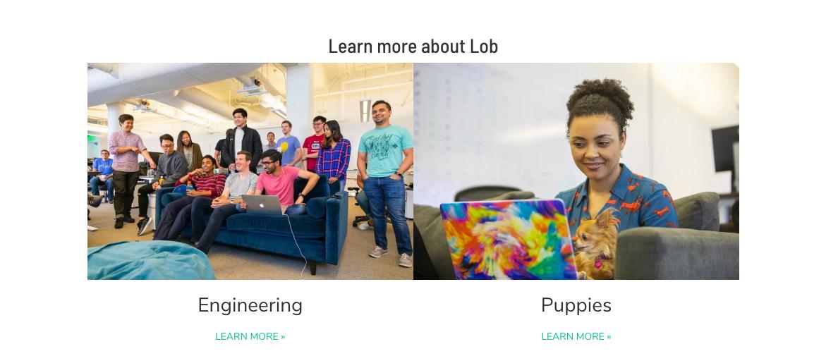 internup's tweet photo. RT acav: Love seeing what it's like to work at lob -- spoiler alert, you'll want to click into their puppies page <3 https://t.co/f6WOJ07OjI #hiring #companyculture #puppies #startups via TheMuse https://t.co/bzSaAtvdpE #InternUP #Mentor #Motivate #Inspire
