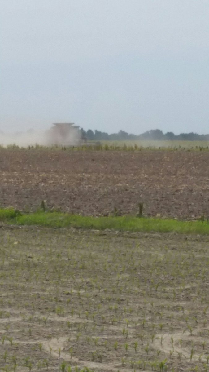 probstjake5's tweet image. I have seen it all. Someone is combining the 2018  corn  crop on 6/14/2019. Haha  still trying to get  .01/ bu.