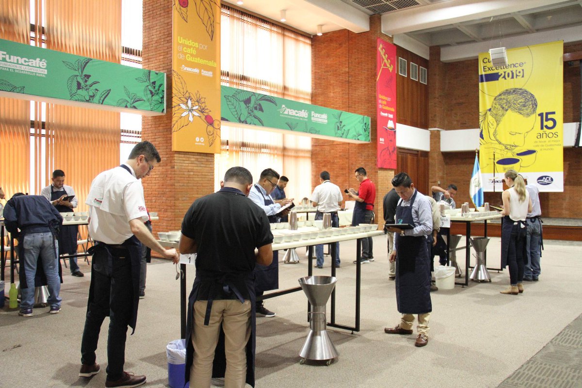 Guatemalacoffee's tweet image. The National Competition stage for @cupofexcellence Guatemala 2019 was held from June 10-13! Working alongside the Alliance for Coffee Excellence, we aim to provide our producers with a platform to sell their coffees at great prices and present them to an international market.