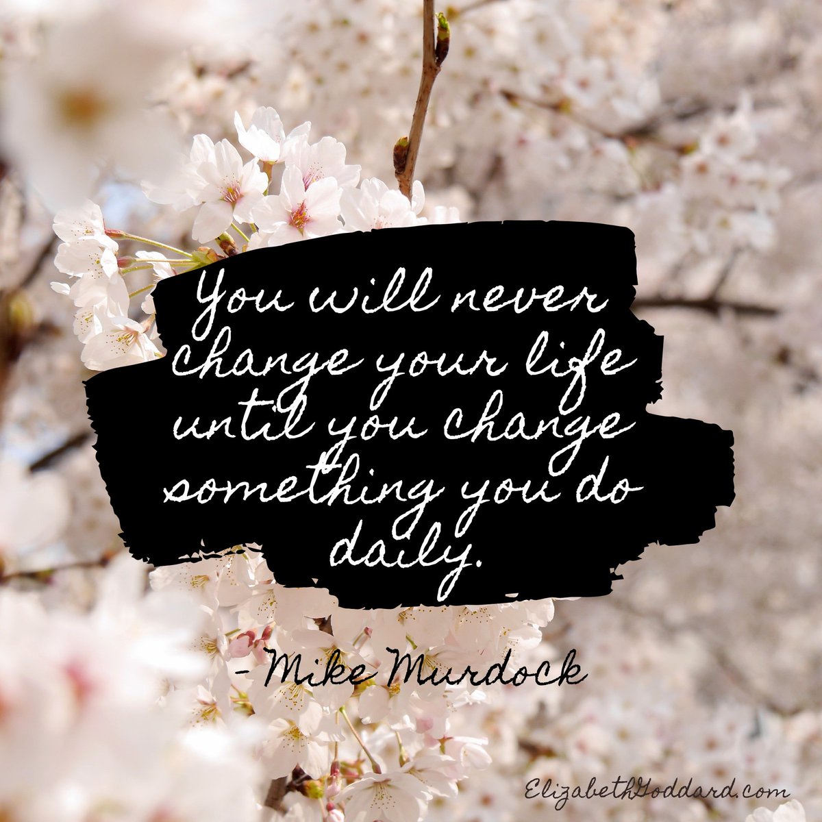 bethgoddard's tweet image. Wow! #thoughts #quote #mikemurdock #inspirational #quotes #changeyourlife #christian #christianfiction #romanticsuspense #romance #suspense #author #writer #elizabethgoddard