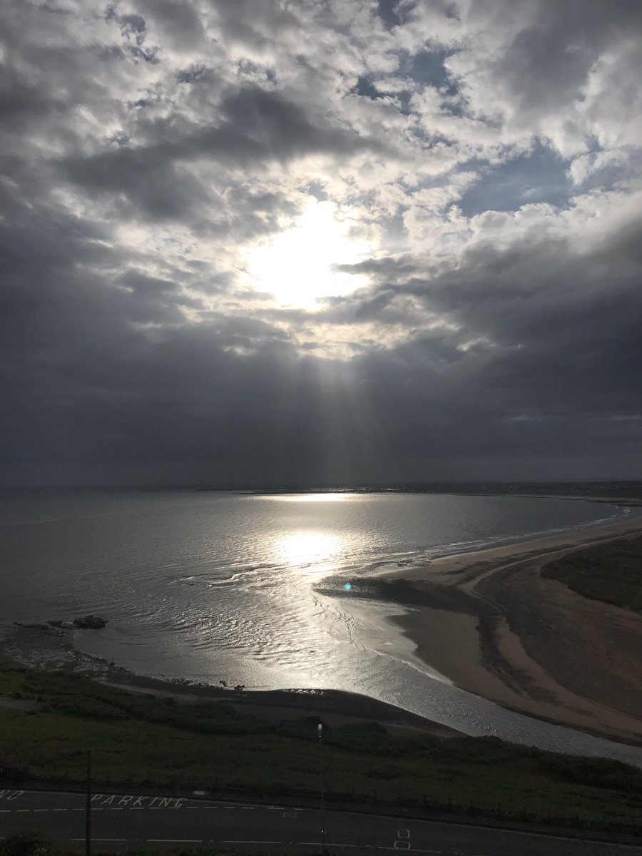 Helen Bowen tweet media