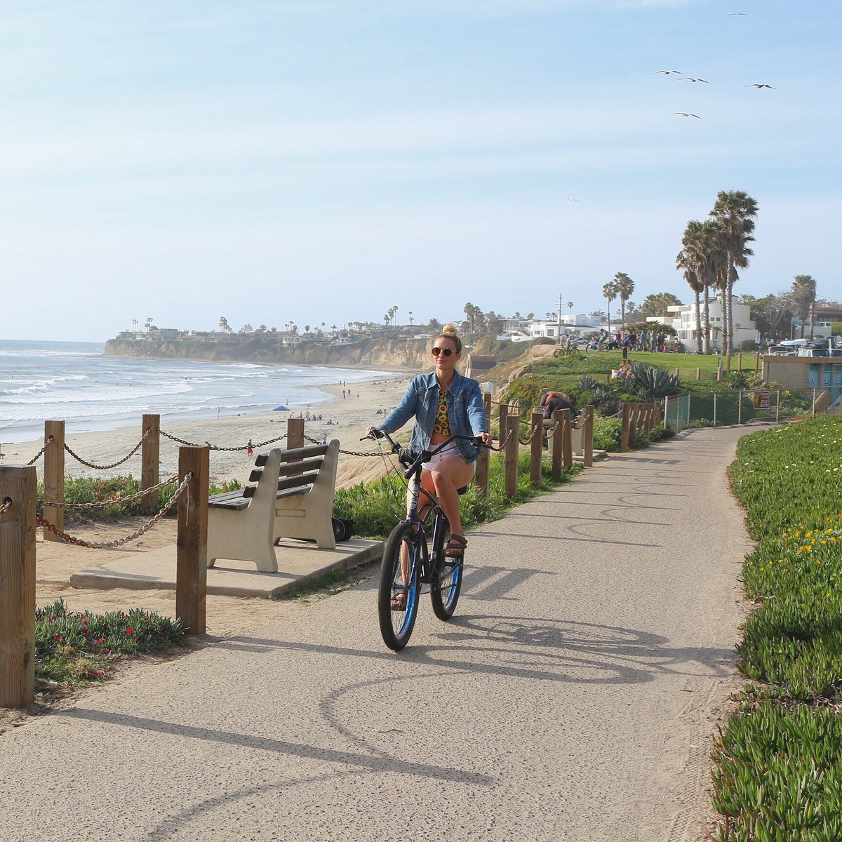 Let’s Monkey Around PB. #SurfMonkeyBikes 🐒#PacificBeach #Pb #SanDiego #PacificBeachSanDiego #PBSD #MissionBeach #BikeSanDiego #BikePB #YelpSanDiego #VisitSanDiego