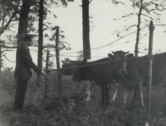 NormalComposers's tweet photo. Aaron Copland feeding some cows. https://t.co/KqUf9fnTOX