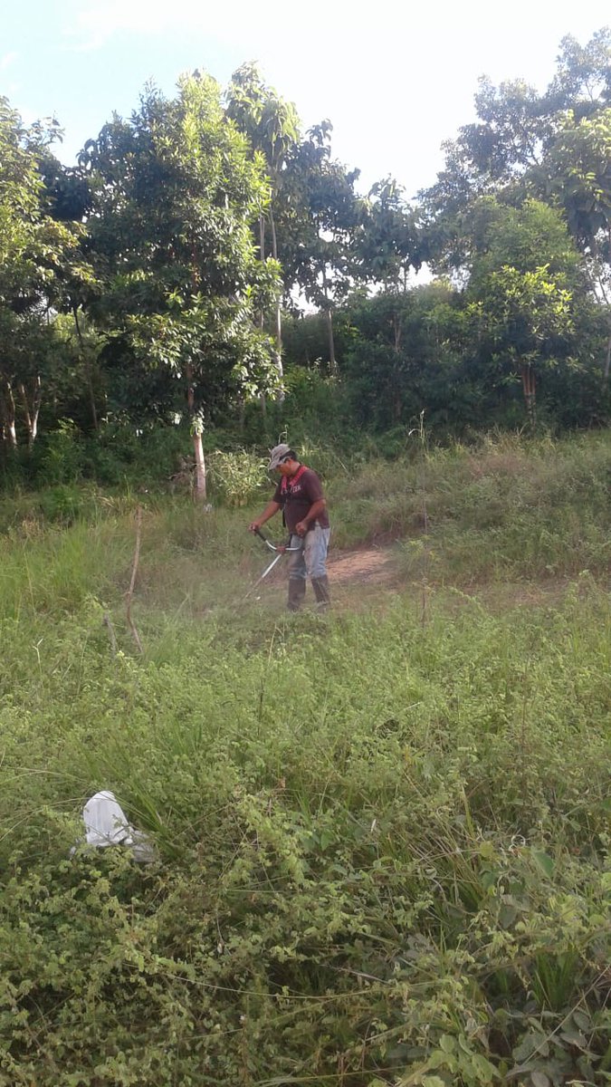 Minvivienda's tweet photo. #Tolima | Habitantes del proyecto de #CasasGratis Villa España, en #CarmenDeApicalá, se han consolidado como una comunidad unida y comprometida con su copropiedad. En esta ocasión adelantan jornadas de limpieza de áreas comunes. #UnGobiernoQueTransforma https://t.co/ba0bcTylLu