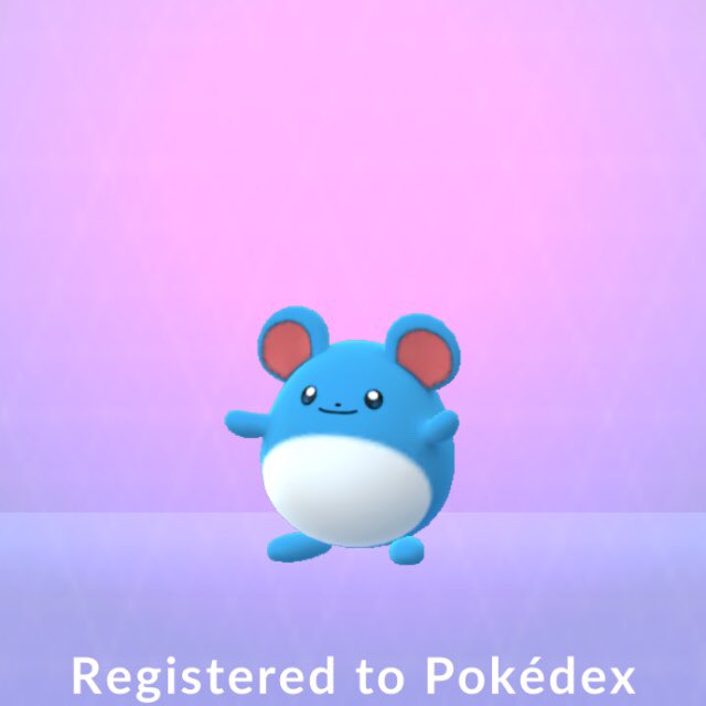 small__star's tweet photo. I caught these little cuties earlier today while I was out running errands. 🥵 It’s +30 C today which is blazing hot 🔥 I’m so glad I’m able to relax with some AC now. #Pokemon #PokemonGo https://t.co/ZmmXIwZC2v
