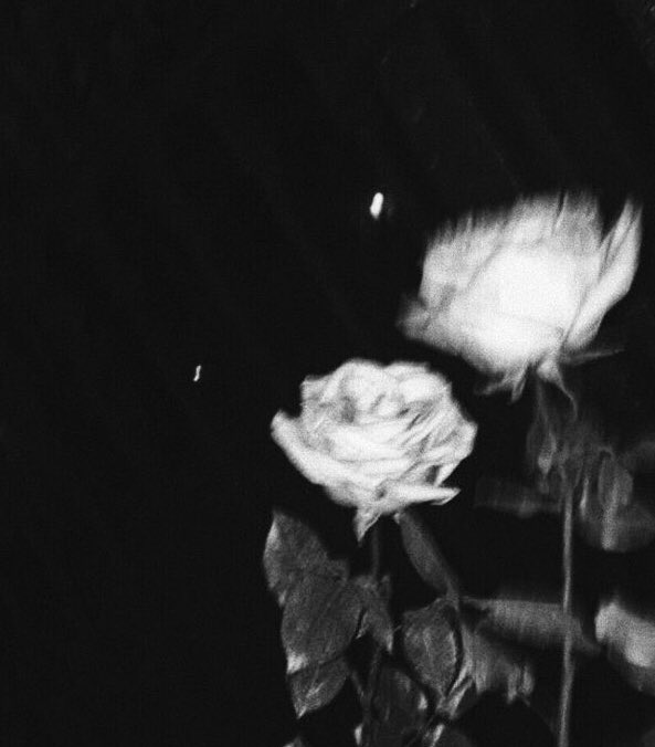 SoftvibesX's tweet image. Boysssss ...