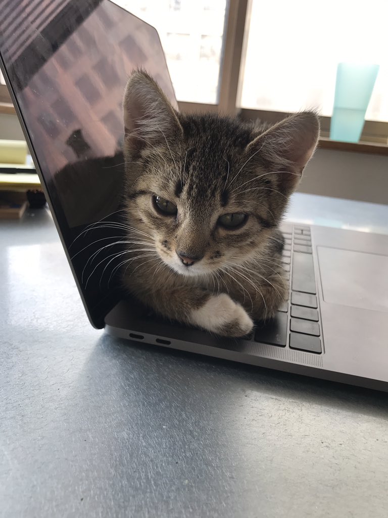 View image on Twitter