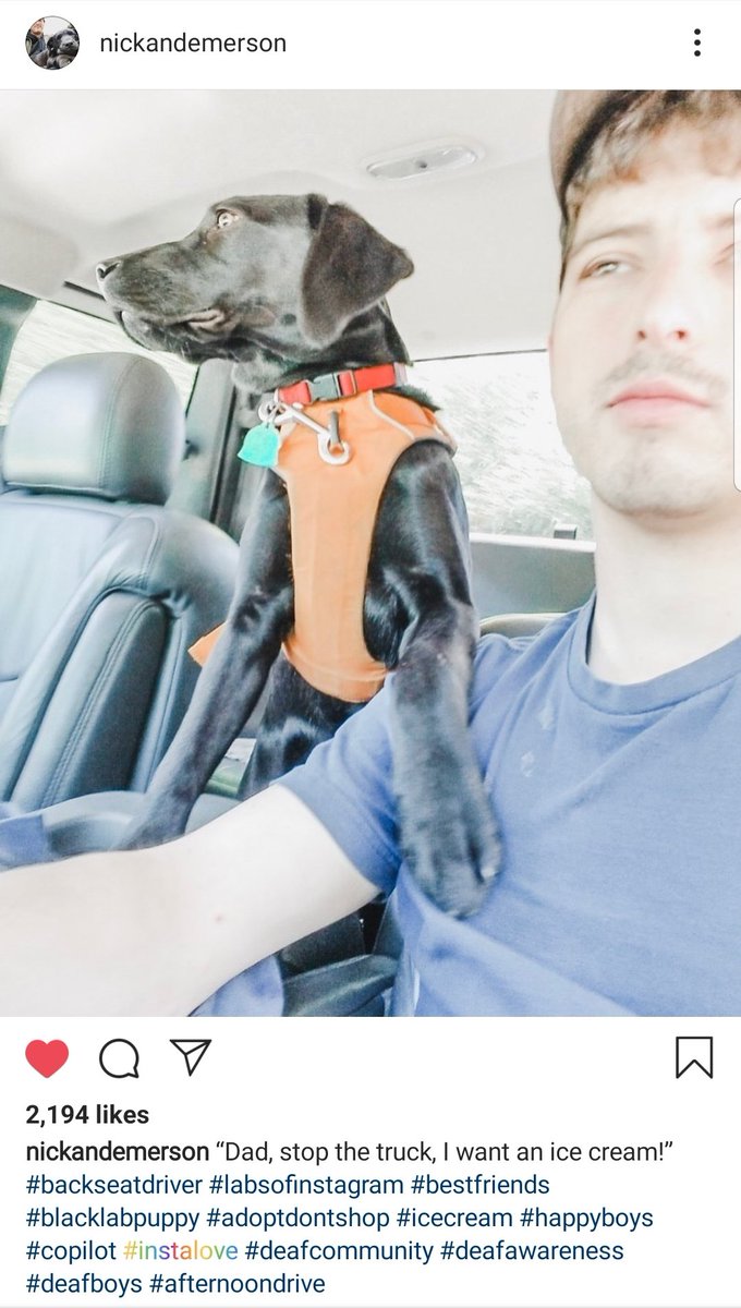 nickandemerson's tweet photo. "Dad, stop the truck, I want an icecream!" https://t.co/zqcO3Wo2dY