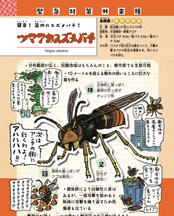 @keepleftright1 タイトルロゴの元ネタはあったりなかったりしまーす！ちなみにツマアカスズメバチの元ネタはみなしごハッチです。

#外来いきもの図鑑 