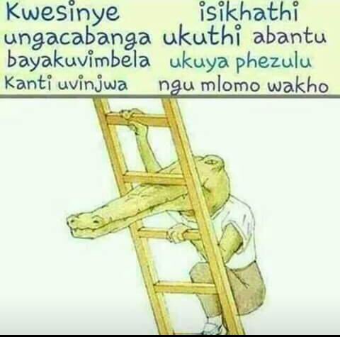 ntate swaliba (@nswaliba) on Twitter photo 