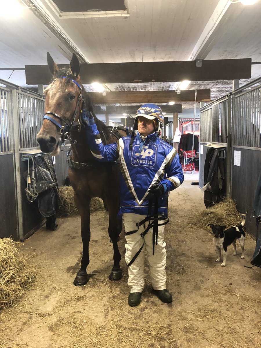 Mattsson86's tweet photo. Dom här 2 var ute och tränade i regnet idag, Krakas åter igen otroligt fin efter sin operation! Nu siktar vi mot start🤩 #finaflickan #Krakas #enstjärna #3år #nukörvi #seupp https://t.co/TrbPVVbAR7