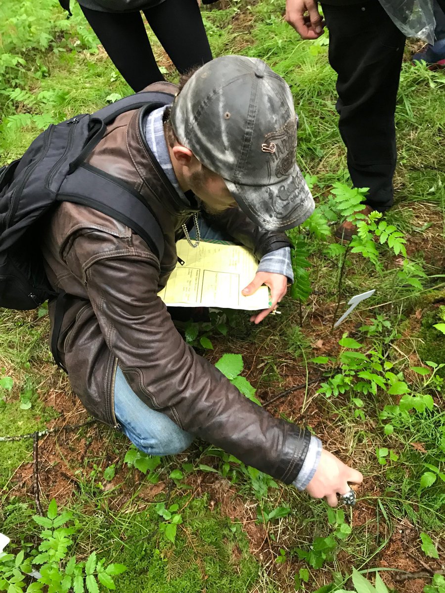 NoelJon06333793's tweet photo. #LPStb @LPS_Westgate Not even the rain can dampen an inquiry!  Grade 10 Science students prepping for the culminating activity by investigating biotic and abiotic factors in different forests. Thank you to FWHP, Con College and KBM Resources for all their help! #landbasedlearning https://t.co/3ByHhDShxS