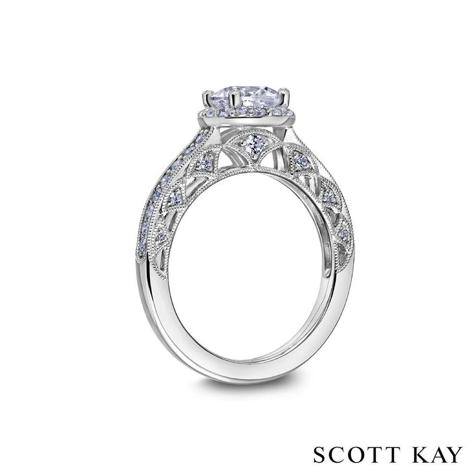 Scott Kay tweet media