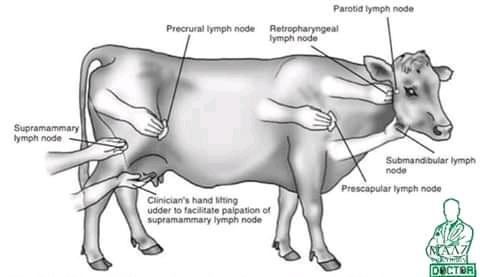 ATUKWATSE EDGAR (@atukwatseedgar) on Twitter photo 