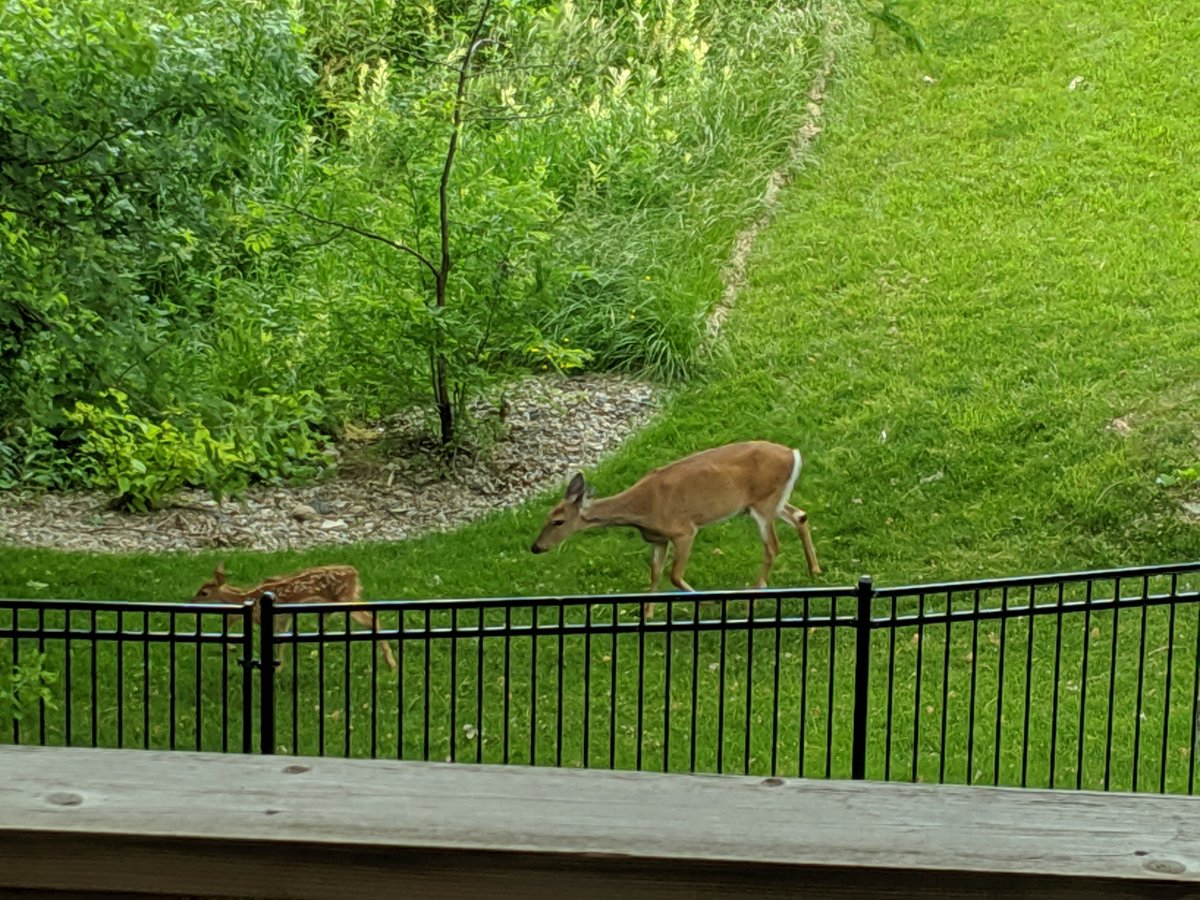 linuxconvert's tweet image. This is my version of &quot;open office layout with great views&quot; when working remotely from home on our deck.