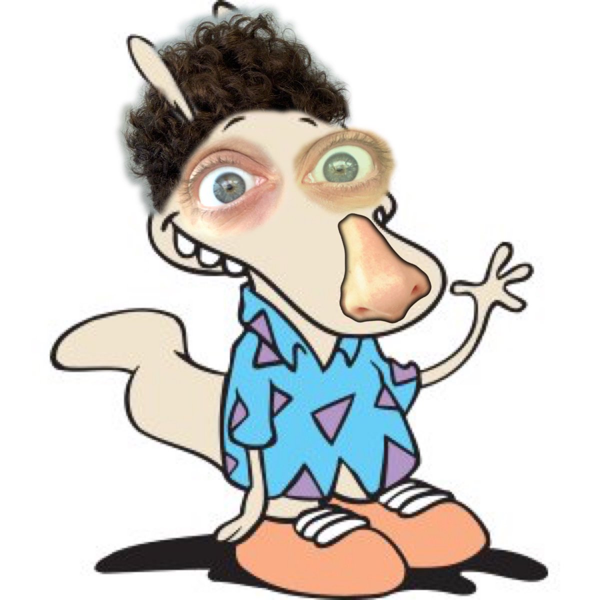 trohman's tweet image. If anyone reboots Rocko’s Modern Life, holla atcha boi to star!