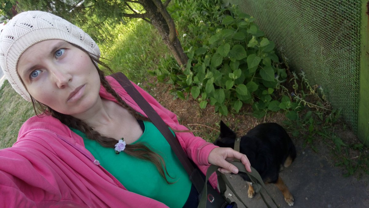 dogs_24com's tweet photo. Walk with Masha yesterday. https://t.co/3YE2BzUxns
