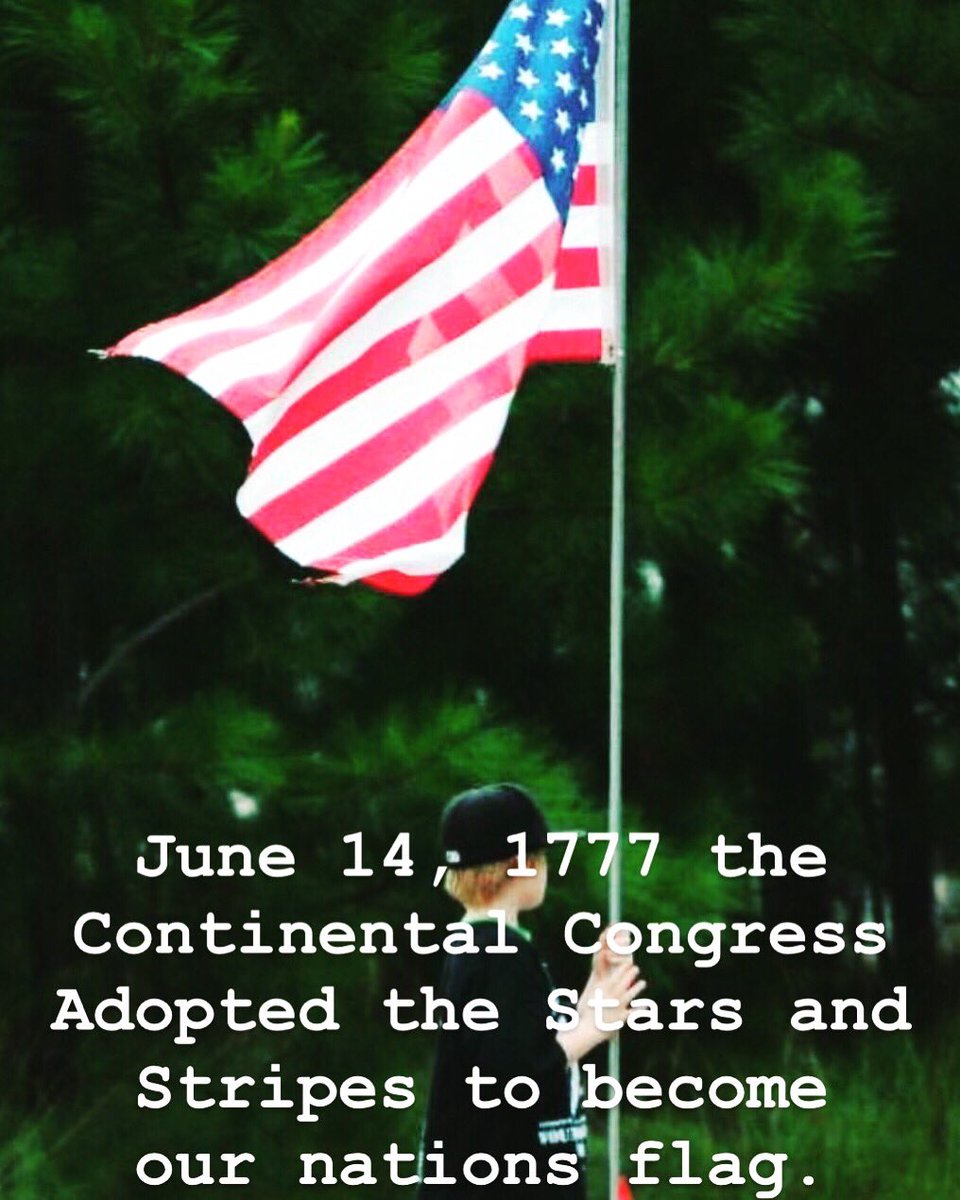TheHeroRun's tweet photo. #FlagDay2019 #herorunkennesaw2019 https://t.co/yrvbgPPSrf
