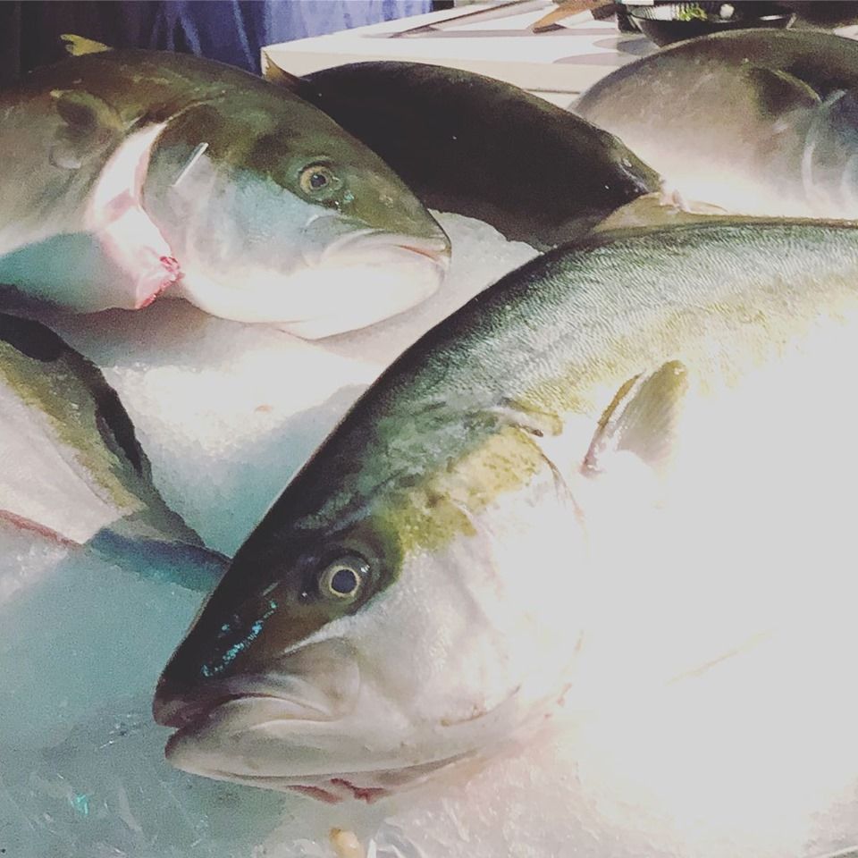 LFCATERER's tweet photo. A little peak into the new menu #stations #events #catering #seasonalingredients #seafood #sustainability #sustainable #cater #catering #events #foodstations #laissez_faire_catering #yourlocation #youroffice #yourhome #yourvenue #ourvenue #laissez_faire #newmenu https://t.co/cmppsU5uj5