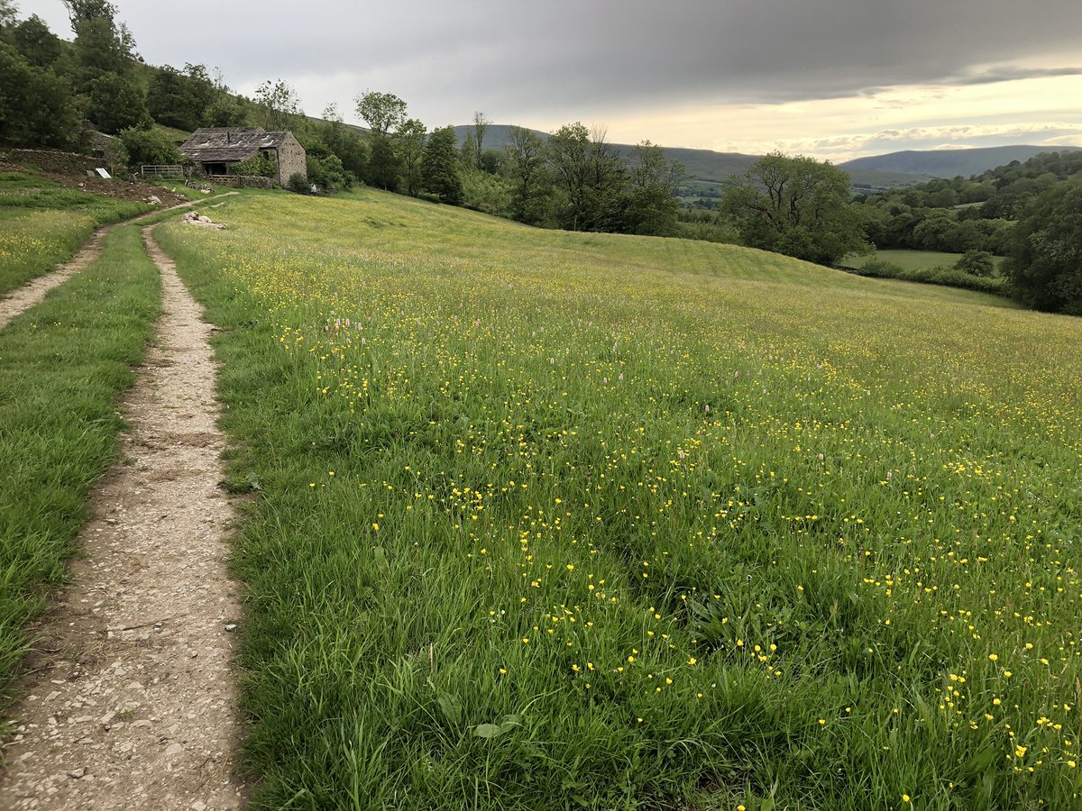 woolismybread's tweet photo. Hay meadow after hay meadow. The final stretch down Dentdale. #walk #charity #shepherdess #ladiesyomp #support #donate https://t.co/pCLSEhDrrG