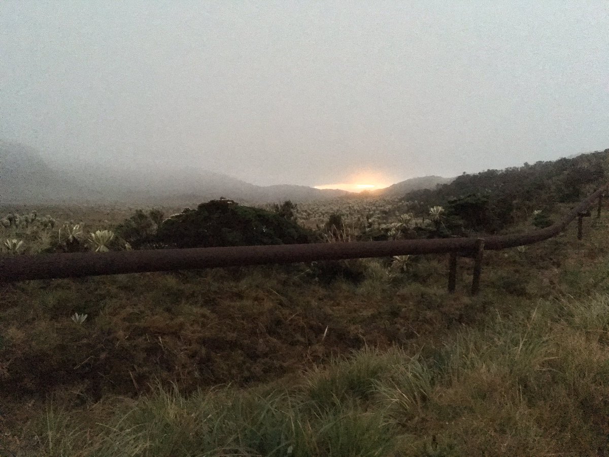 clay_lopez's tweet photo. @GiovannyPulido @MinAmbienteCo @mambientalistac @manuel_rodb @ParquesColombia @CamiloPrietoVal @CentroOds @mcarvajal28 @WWFColombia @agaviriau @Toto_Vega Paramo en Nariño. Volver a usar lo básico en todo. Unos cubiertos para la cartera. Una bolsa para el mercado, un pocillo para el café, un termo para el agua https://t.co/FxubqkvZQM