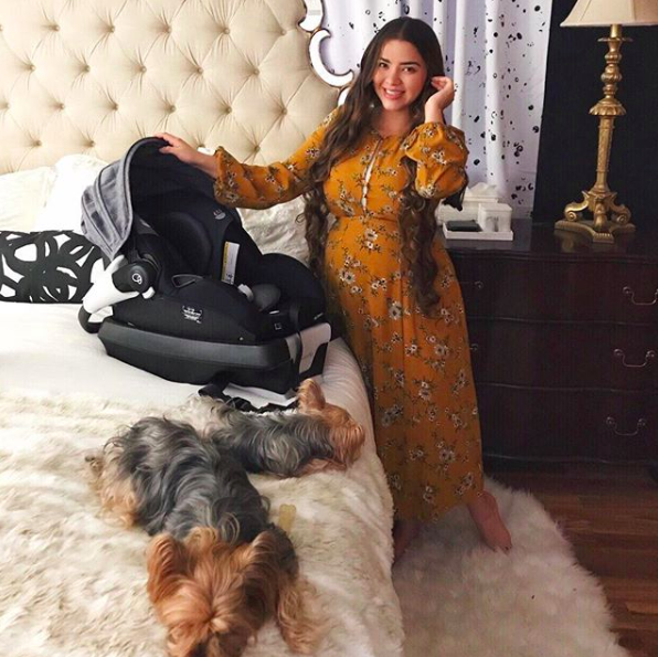 EvenfloBaby's tweet image. The Evenflo Gold SecureMax has this mama smiling from ear terrier 🐶 

📷: skirtedfancy on IG
#EvenfloGold #GoldSecureMax #SensorSafe #SmarterTogether