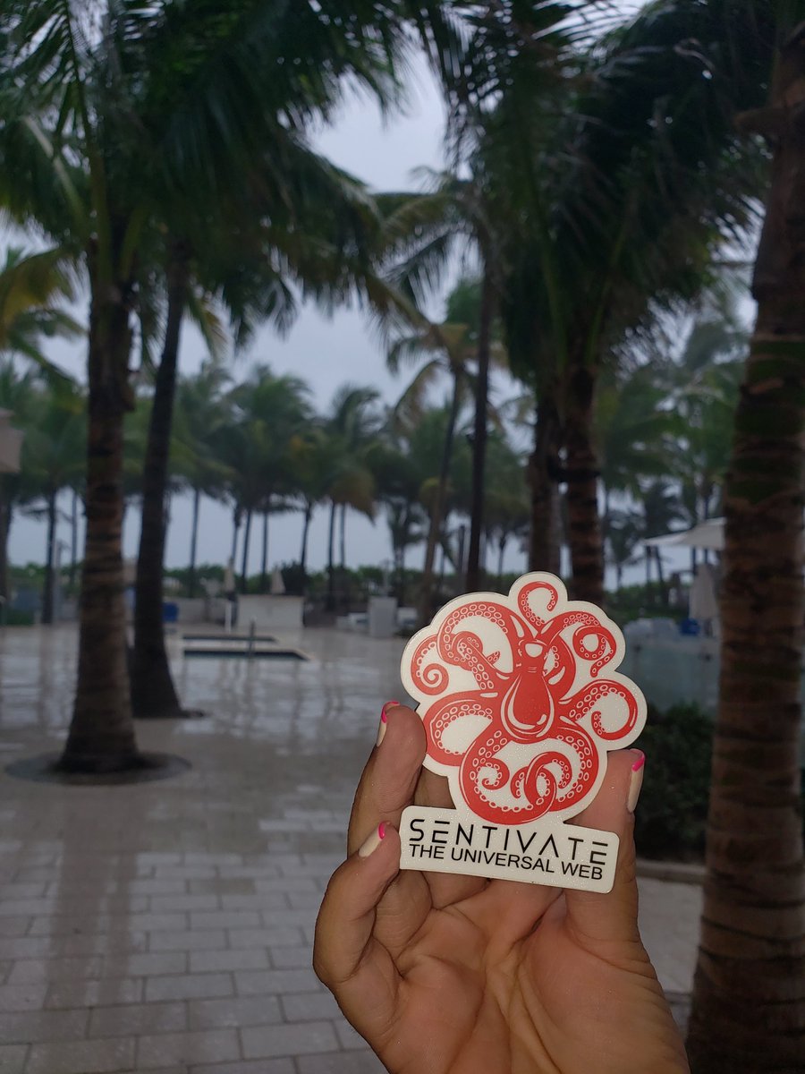 Sentivate's tweet photo. Looks like nature has stricken the $SNTVT engagement!
Miami weather, summer sun 5 mins later thunderstorms!
Operation #305 will continue mater tonight!
#SentivateNation #SentivateStrong https://t.co/ZIAsKGE6Dp