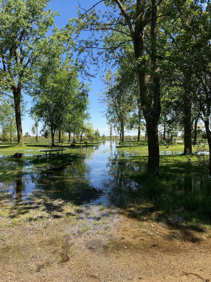 Long Point PP tweet media