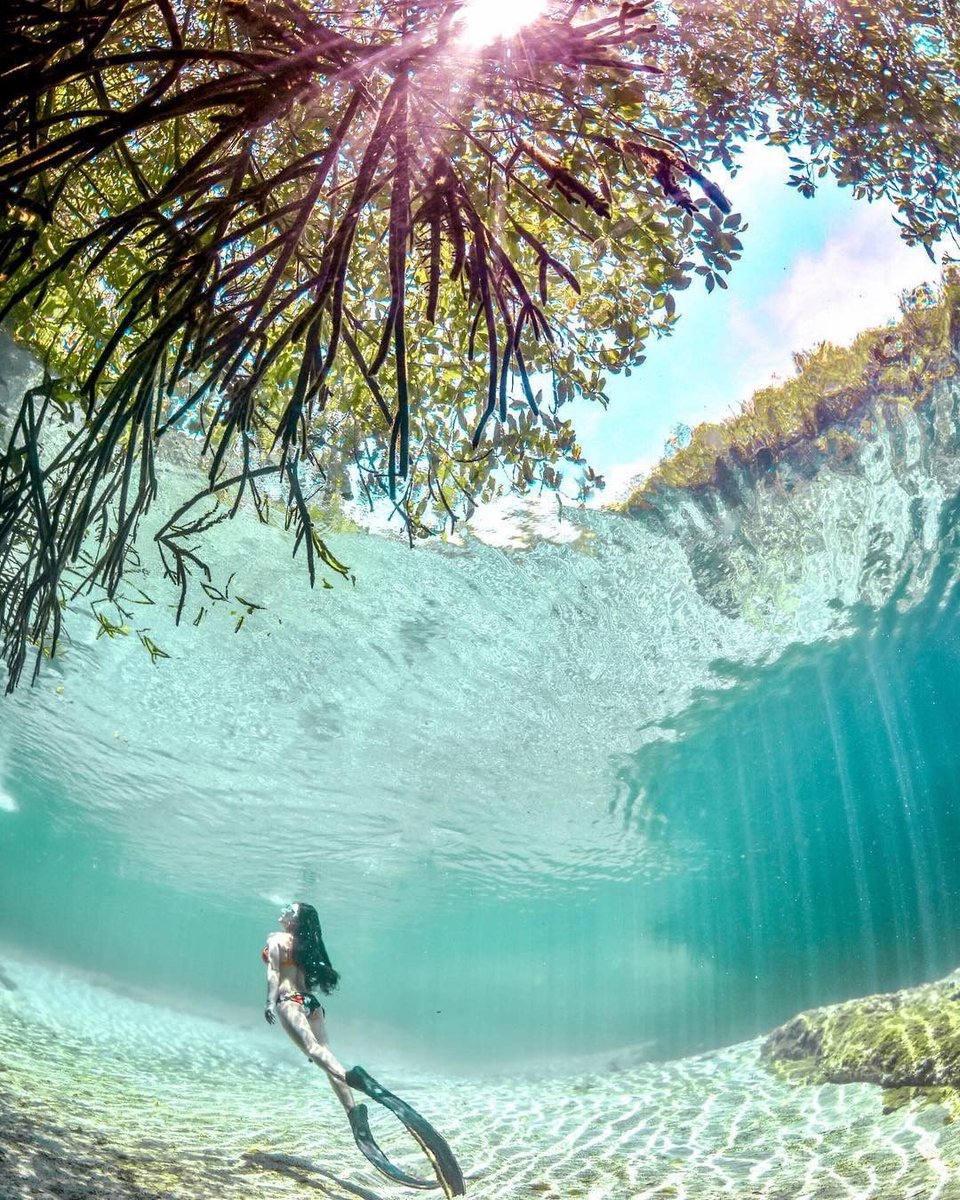 CancunShuttle's tweet photo. ⁣⁣⁣#Cancun and the #RivieraMaya are surreal paradises. 

#Cancun y la #RivieraMaya son paraísos surrealistas. 
⁣
📸: @mouton_yangyang⁣ / Instagram 
⁣⁣
#Mexicancaribbean #CaribeMexicano #CancunShuttle #Travel https://t.co/PALz3aMJ8r