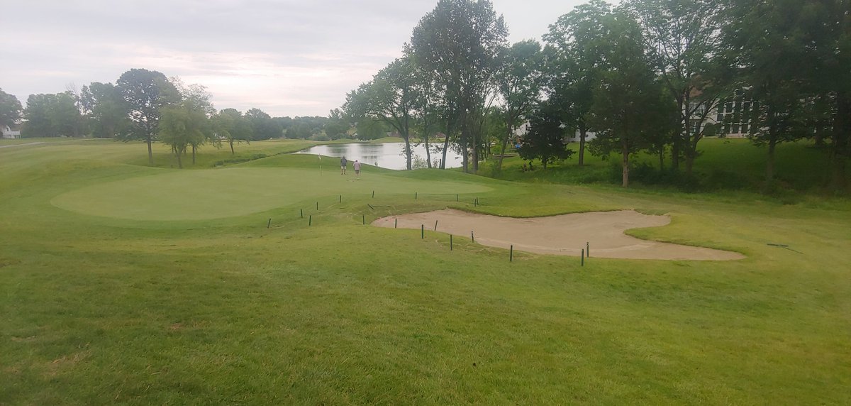 WhitmoorCCGrounds tweet media