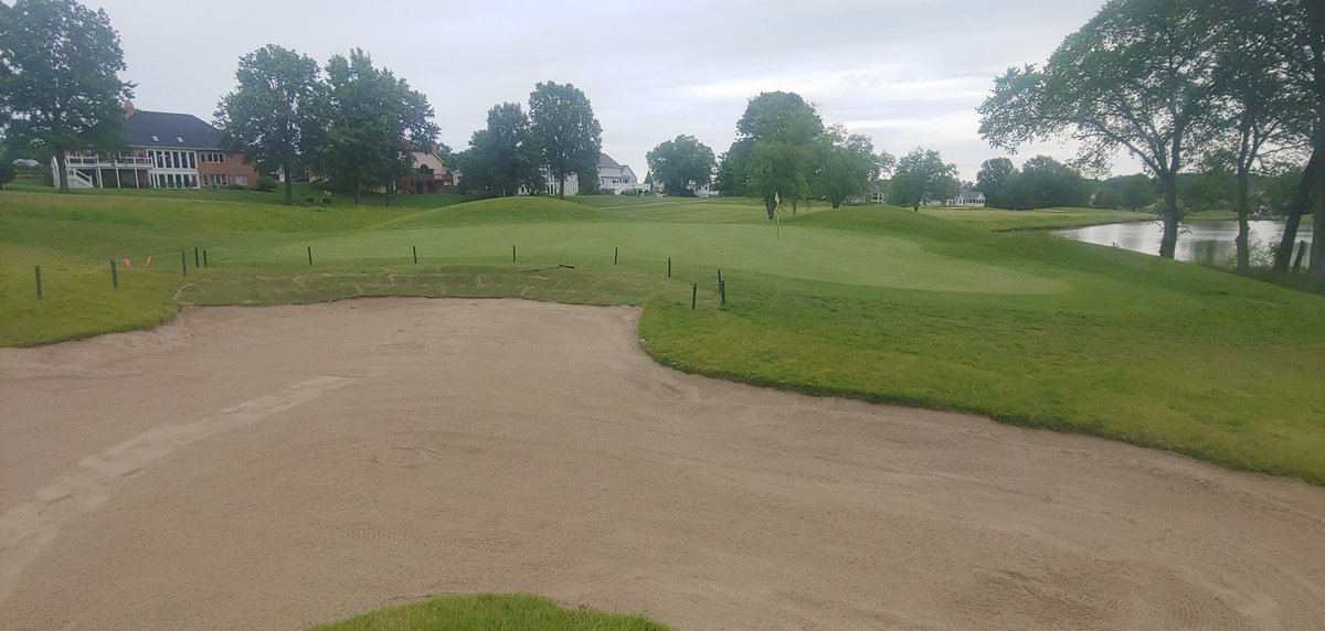 WhitmoorCCGrounds tweet media